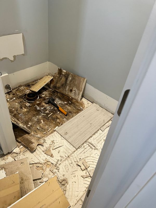 Mold Remediation