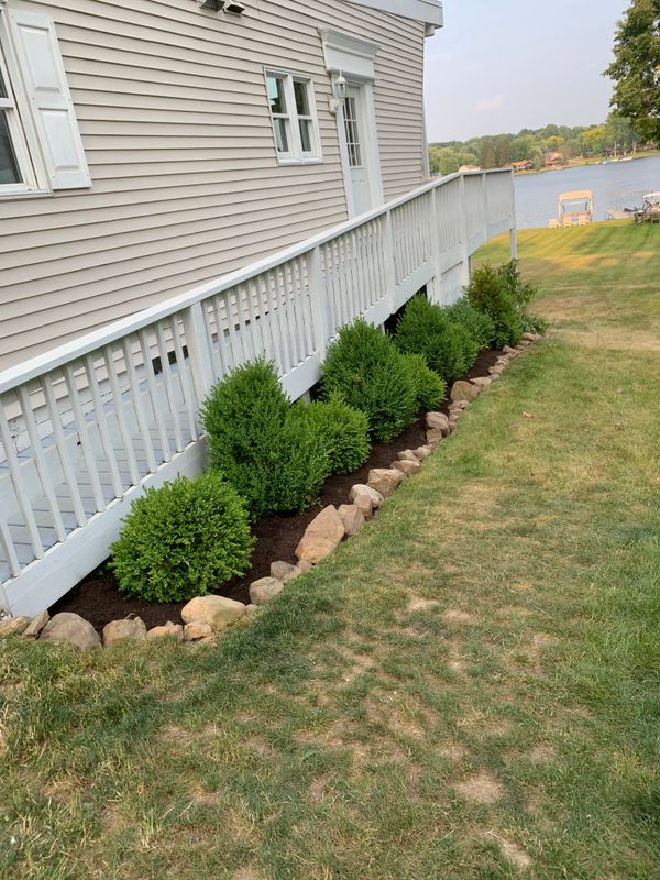 Shrub Trimming