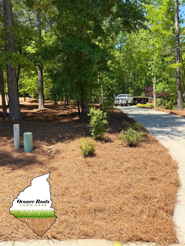 Landscape Design & Installation