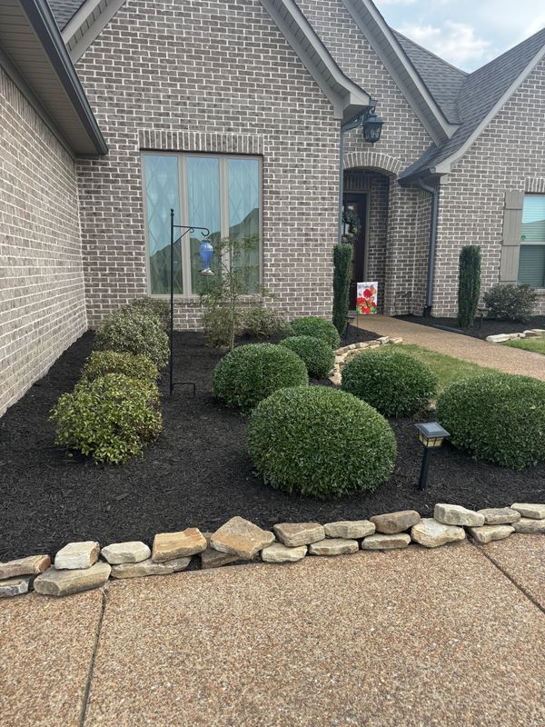 Shrub Trimming