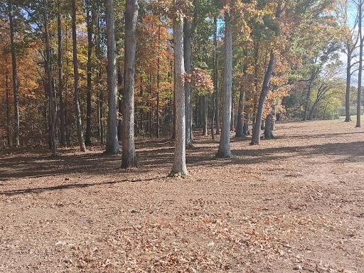 Land Clearing