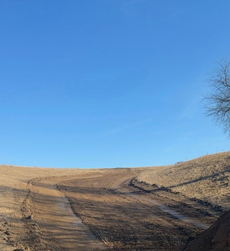 Land Clearing