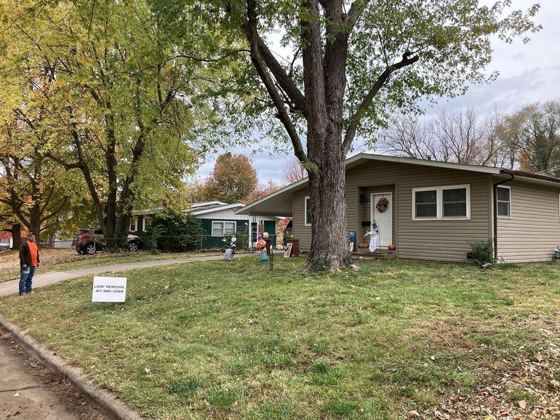 Mowing and Tree Services