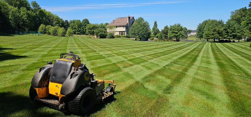 Lawn Maintenance
