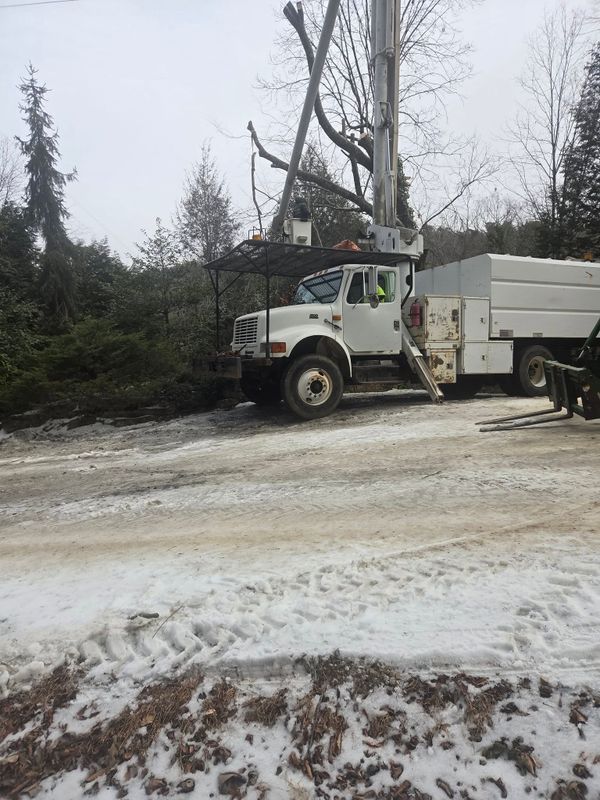 Tree Trimming