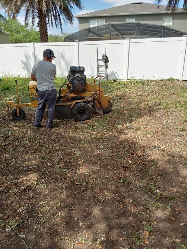 Tree Services