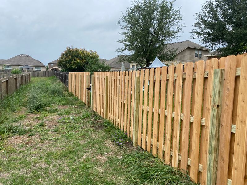 Installation of New Fences