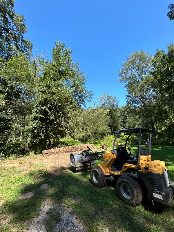 Stump Removal