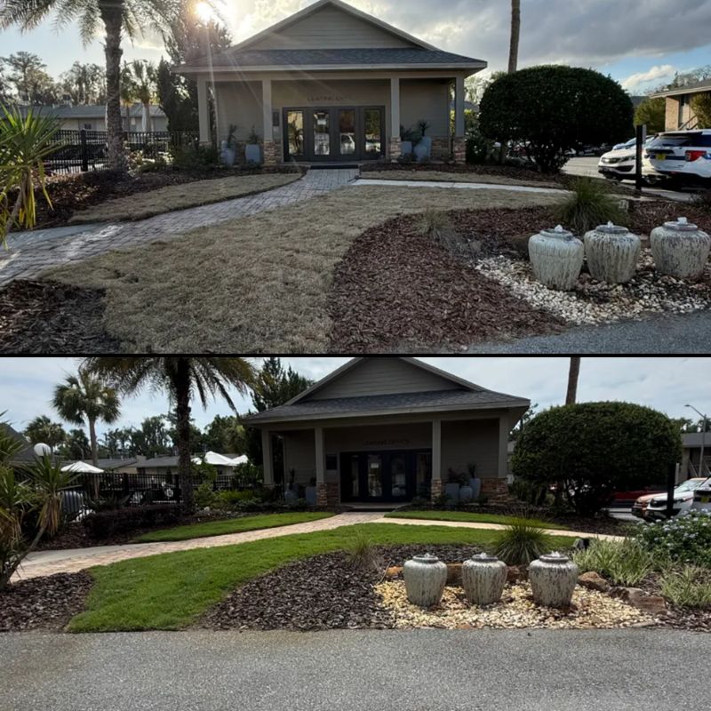 Landscape & Property Cleanup