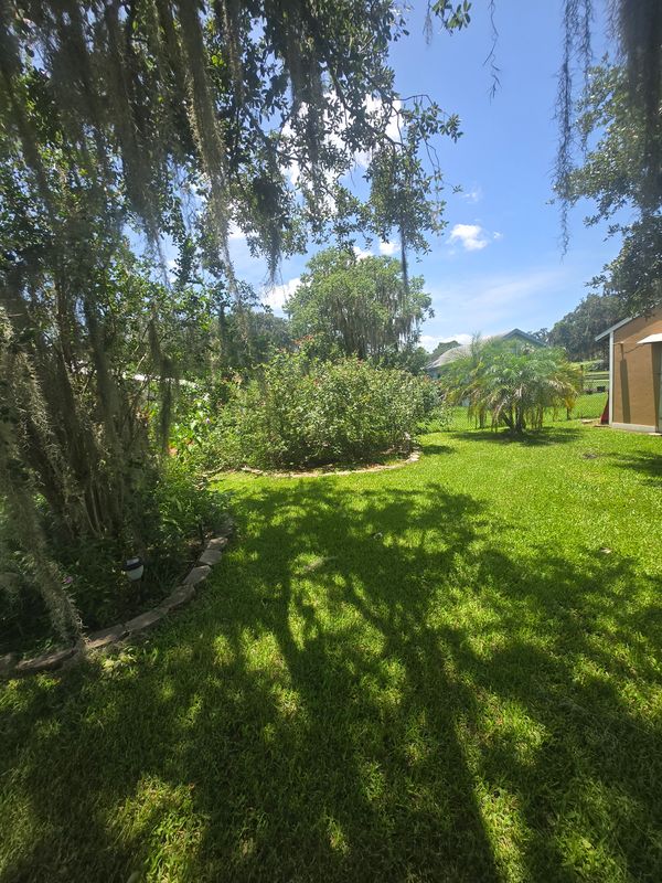 Lawn Care & Maintenance