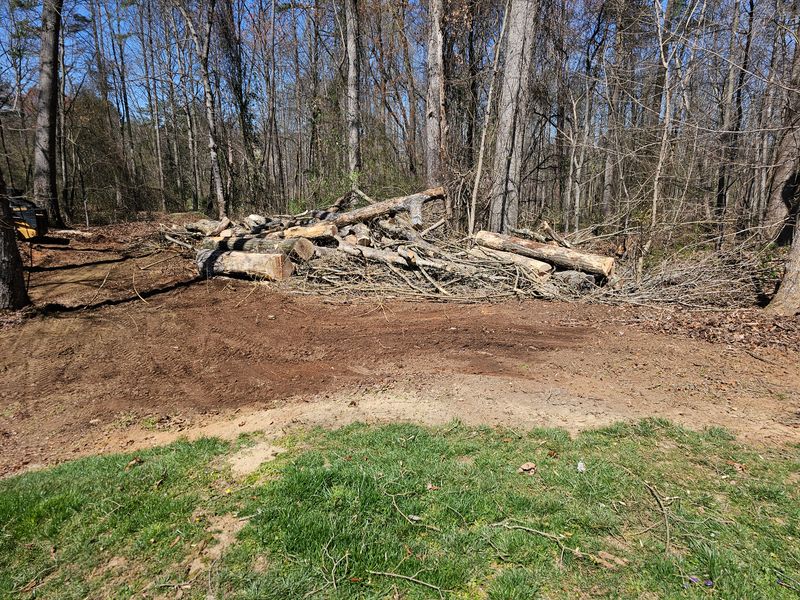 Land Clearing