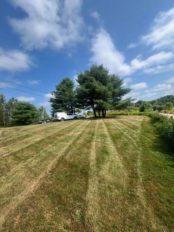 Lawn Maintenance