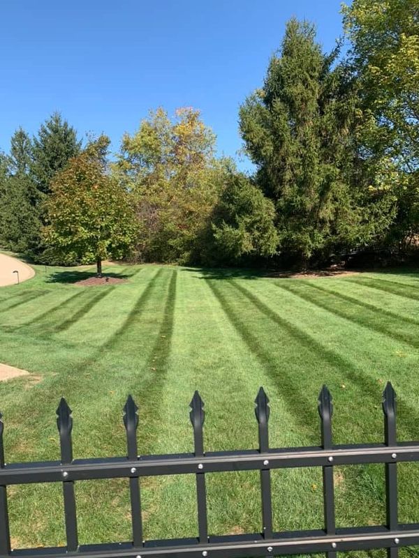 Lawn Maintenance