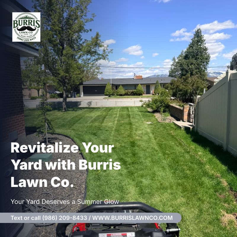 Lawn Mowing and Maintenance