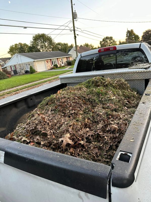 Fall Clean Up