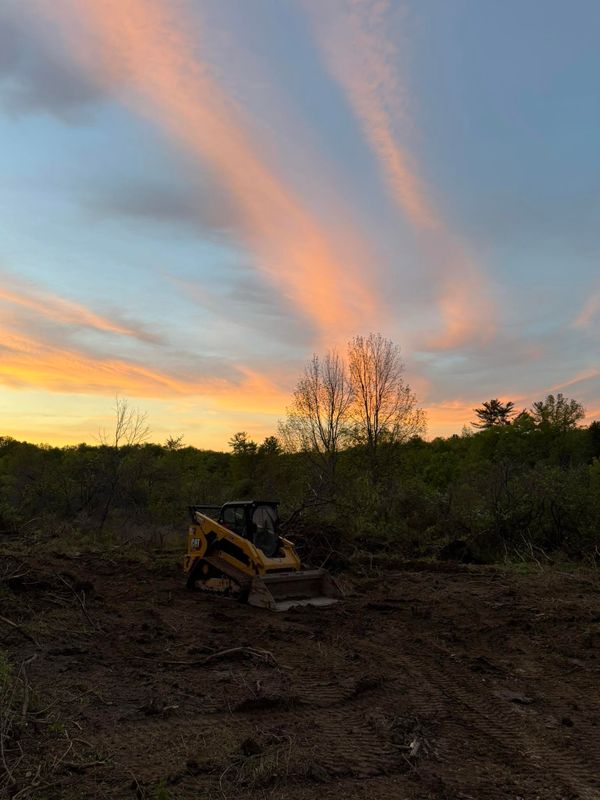 Land Clearing