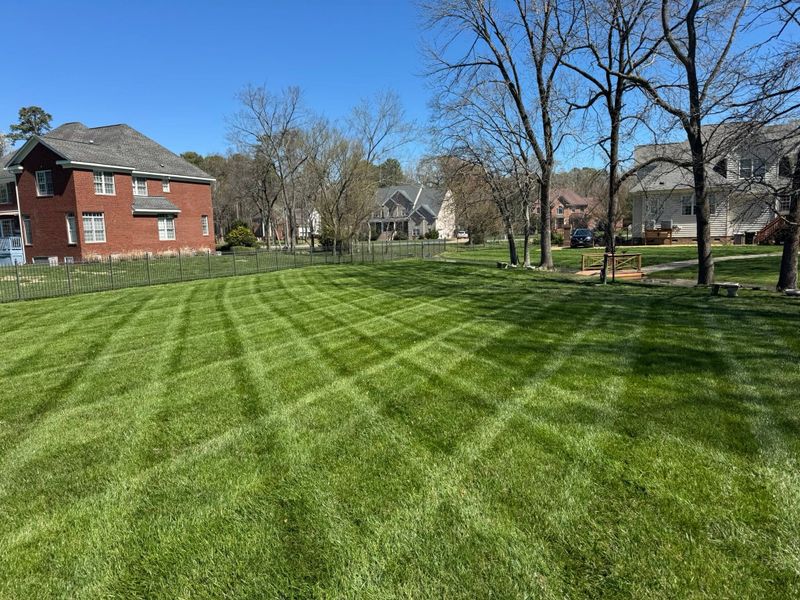 Lawn Mowing