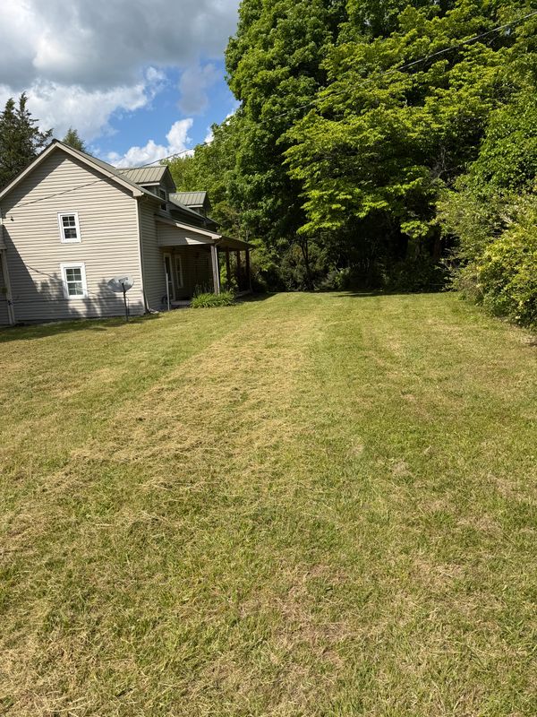 Lawn Maintenance