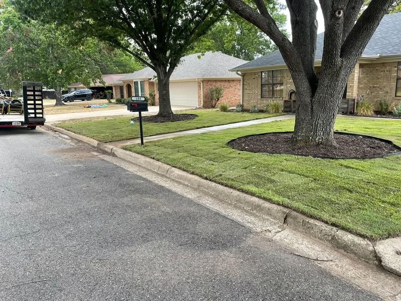 Sod Installation