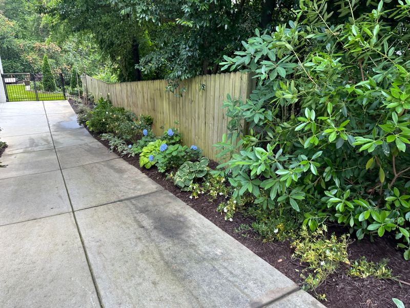 Lawn Care & Maintenance