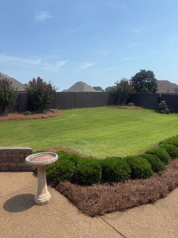 Garden Designs