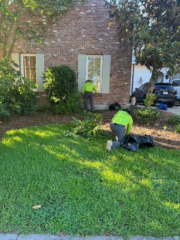 Landscape Design & Installation