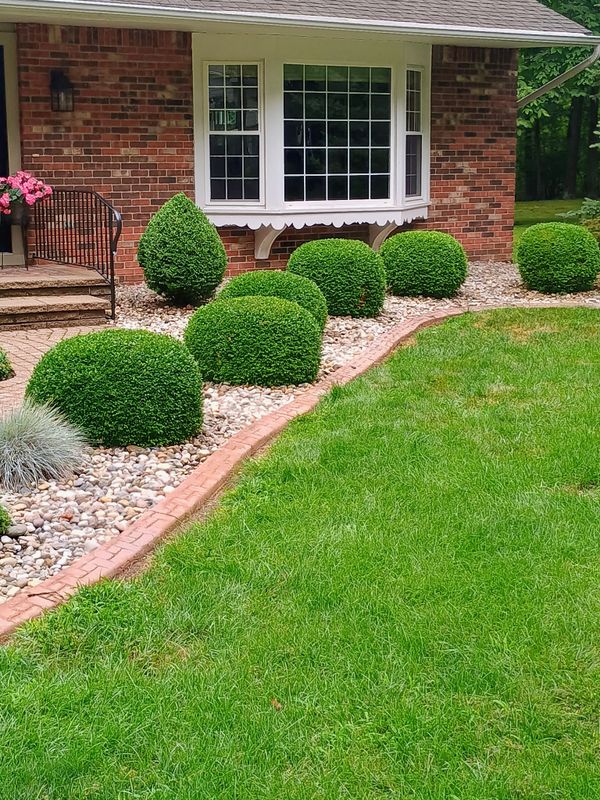Lawn Care and Maintenance