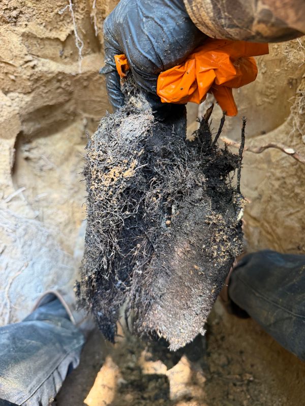 Drain Cleaning and Unclogging