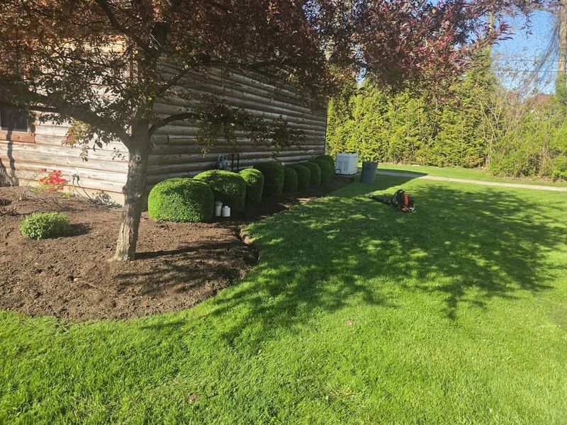 Landscaping