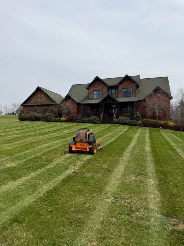 Lawn Maintenance