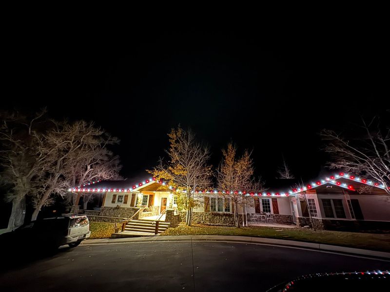 Christmas Lights