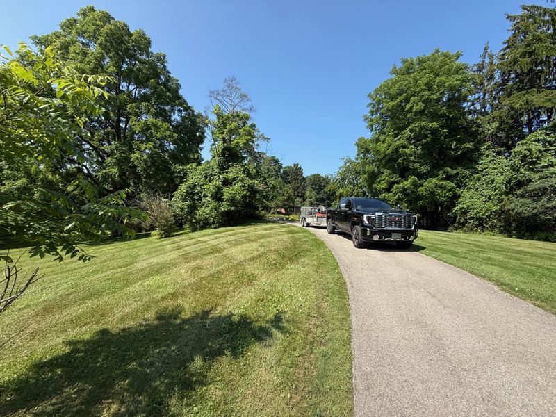 Lawn Care & Maintenance
