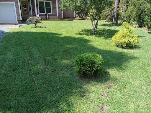 Mowing