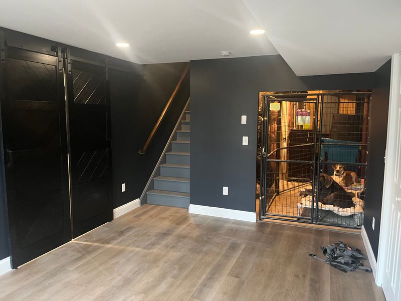 Basement Finishing