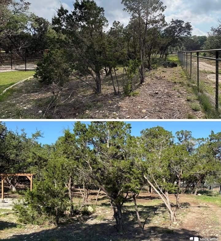 Tree Trimming & Land Clearing
