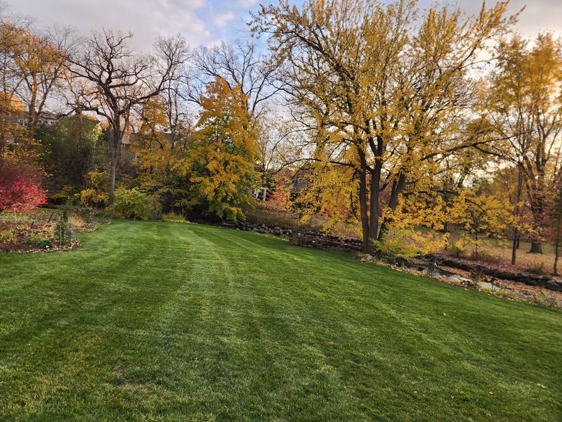 Landscape Design