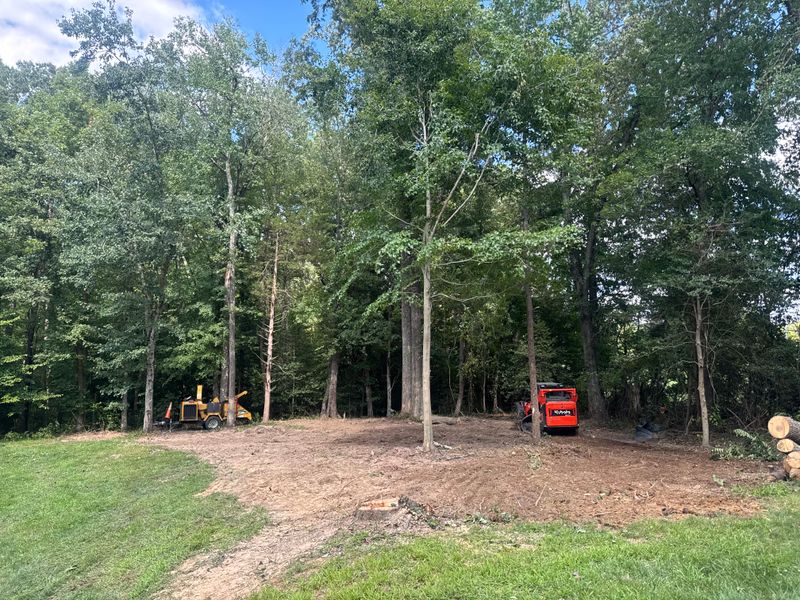 Stump Removal