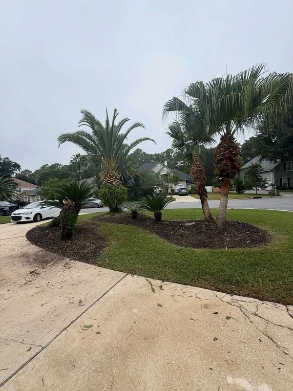 Shrub Trimming
