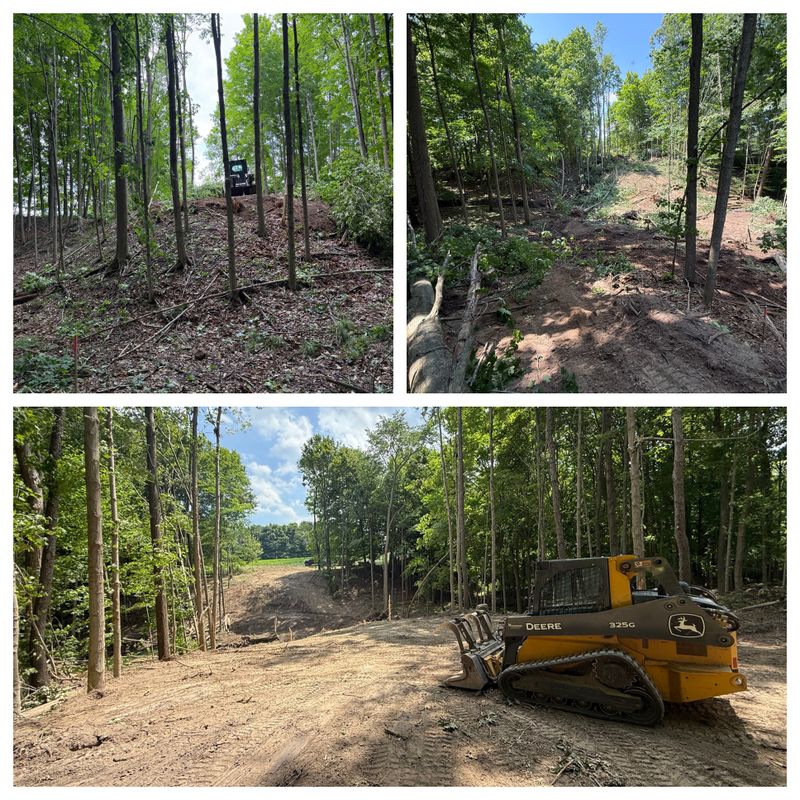 Forestry Mulching & Tree Removal