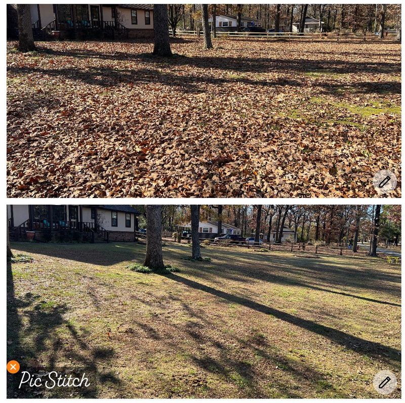 Fall and Spring Clean Up