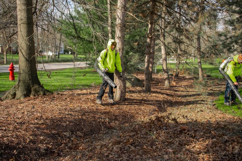 Weekly Lawncare