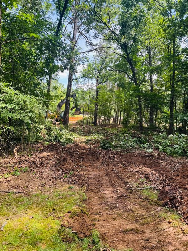 Land Clearing