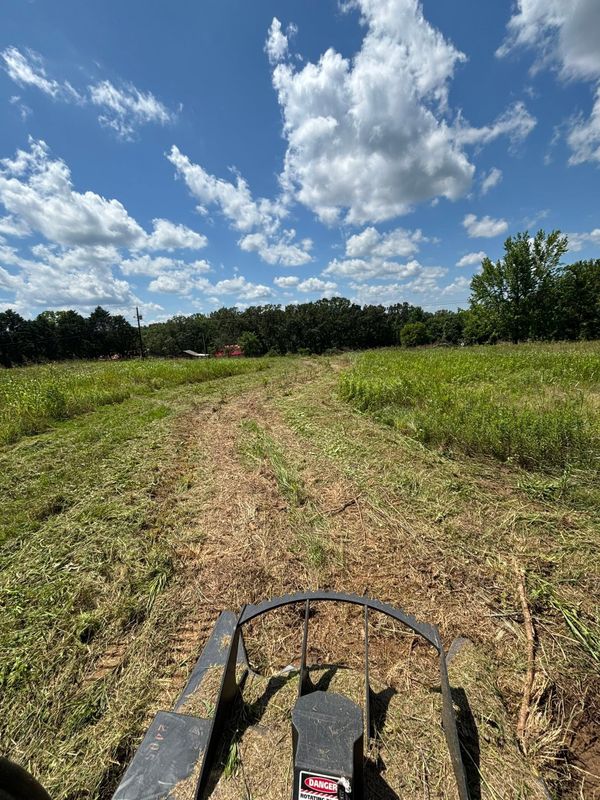 Land Clearing