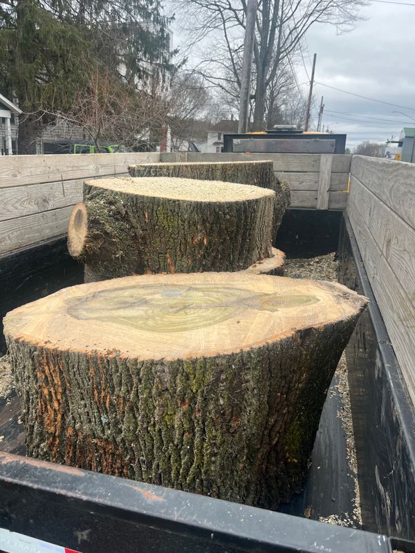 Tree Removal