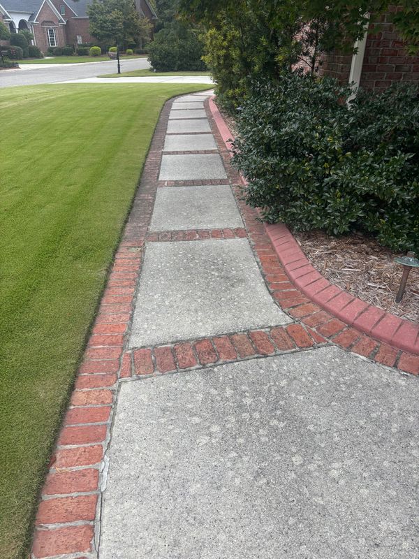Hardscape Cleaning