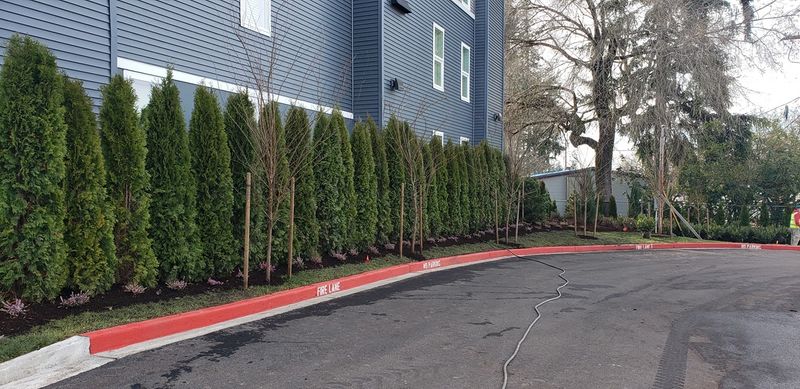 Landscape Installation