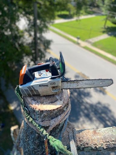 Tree Removal