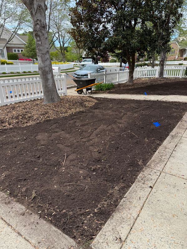 Planting