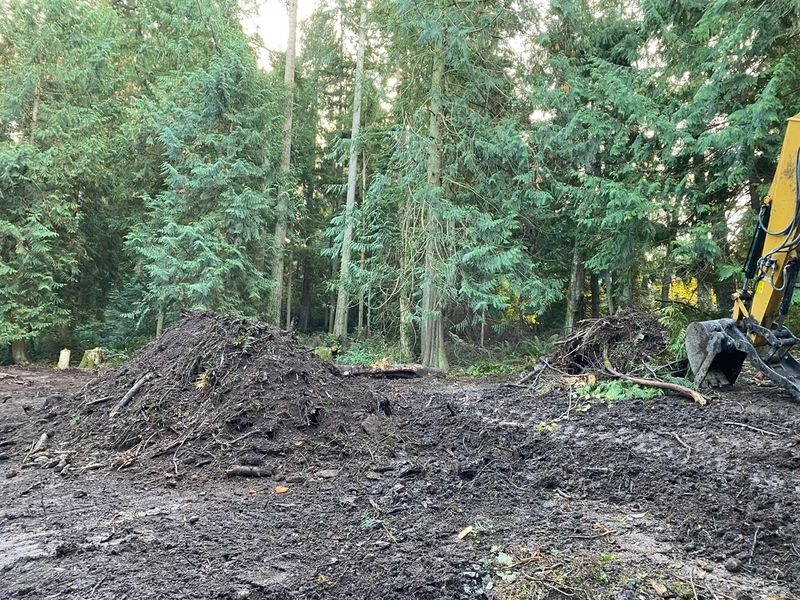 Land Clearing
