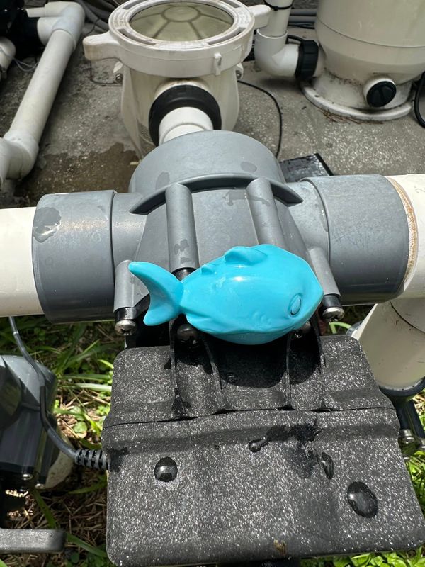 Pool Cleaning